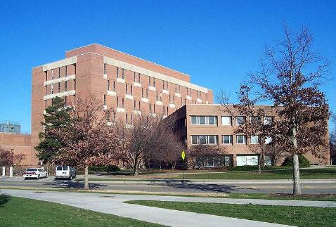 美国密歇根州立大学世界排名